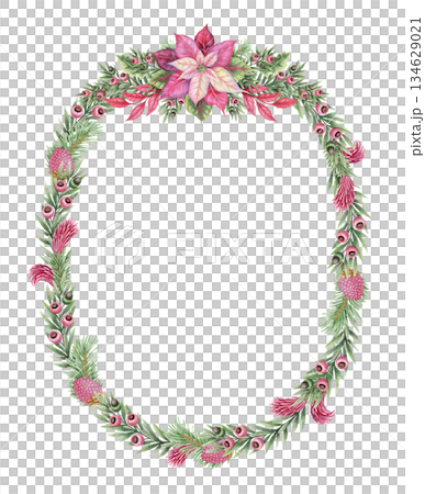 Lush Christmas wreath of poinsettia flowers and yew branch in the oval shape in hand painted watercolor. Pink red and green create a winter look. Perfect for festive frame template and card design. Lush Christmas wreath of poinsettia flowers and yew branch in the oval shape in hand painted watercolor. Pink red and green create a winter look. Perfect for festive frame template and card design. 134629021