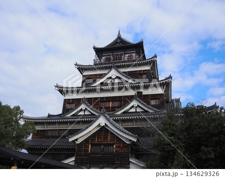 広島城　鯉城 134629326