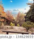 美しい紅葉と山から見える街並み 134629659