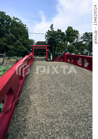 赤い鳥居と赤い橋 赤い鳥居と赤い橋 134629724