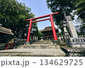 赤い鳥居 134629725