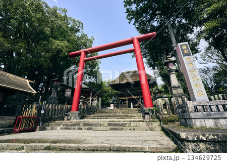 赤い鳥居 赤い鳥居 134629725