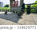 神社の周囲で休む鴨 134629771