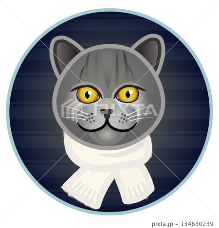 円形背景のついたマフラーを巻いた猫の顔のイラスト 134630239
