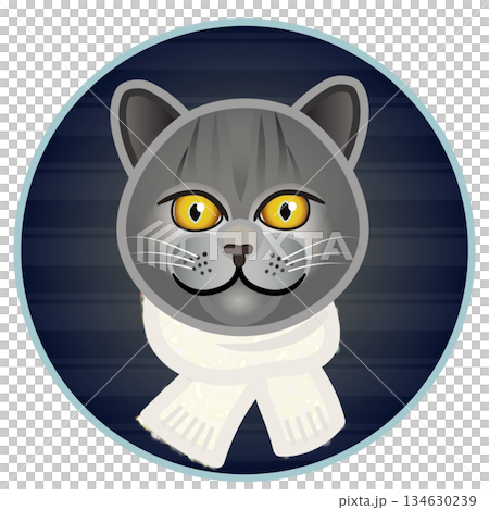 円形背景のついたマフラーを巻いた猫の顔のイラスト 134630239