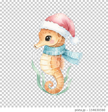 Cute watercolor seahorse wearing pink Santa hat and blue scarf. Hand drawn winter holiday marine animal illustration isolated on white background. 134630380