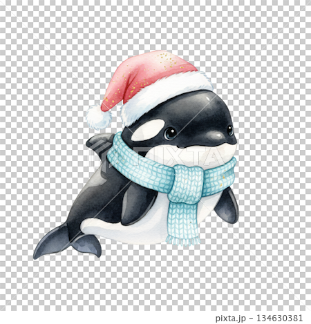 Cute watercolor orca killer whale wearing pink Santa hat and blue scarf. Hand drawn winter holiday marine mammal illustration isolated on white background. 134630381