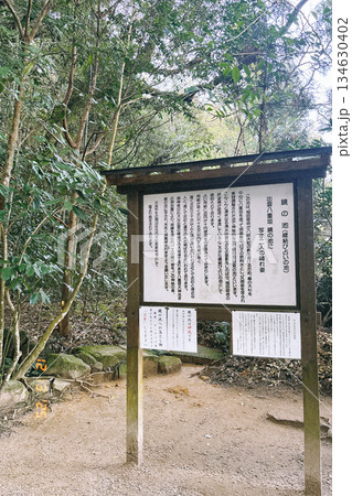 森の中にある景色 森の中にある景色 134630402