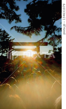 朝日を浴びる神社 朝日を浴びる神社 134631079