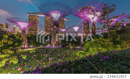 Futuristic aerial view of amazing illumination at Garden by the Bay day to night timelapse in Singapore. 134631957