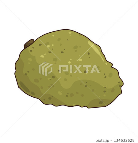illustration of Wild Soursop illustration of Wild Soursop 134632629