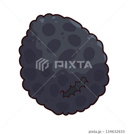 illustration of Black Raspberry illustration of Black Raspberry 134632633