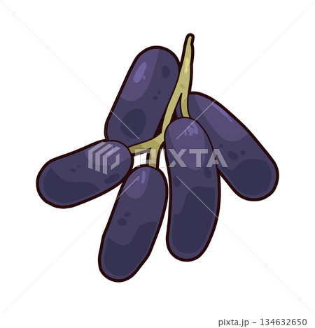 illustration of Moon Grape illustration of Moon Grape 134632650