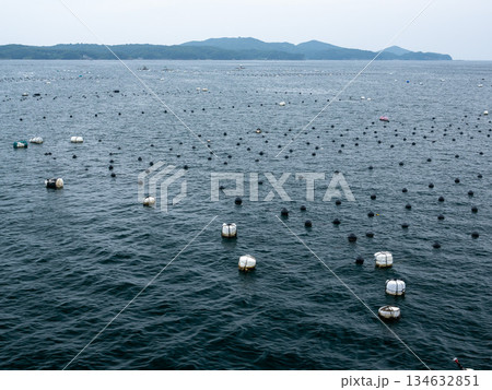 晩夏の志摩の海岸　三重県 134632851