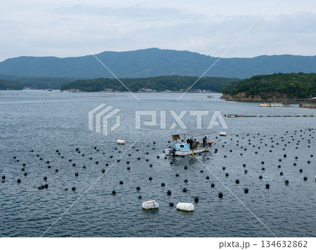 晩夏の志摩の海岸 三重県 晩夏の志摩の海岸 三重県 134632862