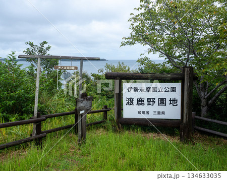 新緑に包まれた参道 三重県 伊勢志摩 新緑に包まれた参道 三重県 伊勢志摩 134633035