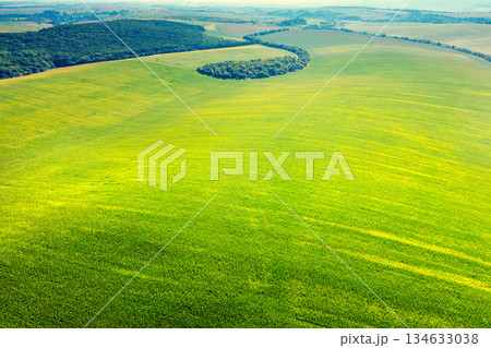 Beautiful landscape, spring nature. View from above of sunny fields on rolling hills in Tuscany, Italy Beautiful landscape, spring nature. View from above of sunny fields on rolling hills in Tuscany, Italy 134633038