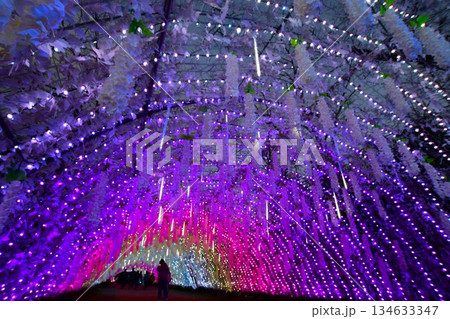 富士山に近い時之栖イルミネーション(光のトンネル) 134633347