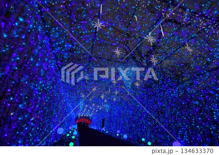 富士山に近い時之栖イルミネーション(王宮のトンネル) 富士山に近い時之栖イルミネーション(王宮のトンネル) 134633370