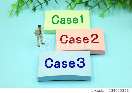 Case　事例　判例のイメージ 134633398