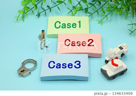 Case　事例　判例のイメージ 134633409