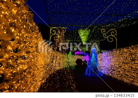 富士山に近い時之栖イルミネーション(王宮の回廊) 134633415