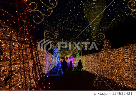 富士山に近い時之栖イルミネーション(王宮の回廊) 134633421