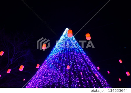 富士山に近い時之栖イルミネーション(ランタン) 134633644