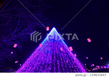 富士山に近い時之栖イルミネーション(ランタン) 134633647