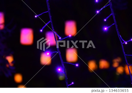 富士山に近い時之栖イルミネーション(ランタン) 富士山に近い時之栖イルミネーション(ランタン) 134633655