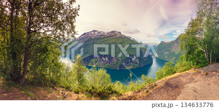 View of the Geiranger fjord on a cloudy day. Rocky shore with frame from trees. Beautiful nature of Norway 134633776