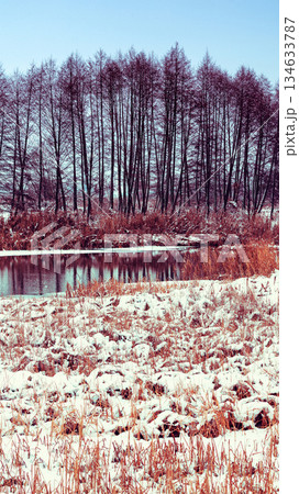 Winter rural landscape with brook. First snow in the field. Winter nature. Nature background. Vertical banner Winter rural landscape with brook. First snow in the field. Winter nature. Nature background. Vertical banner 134633787