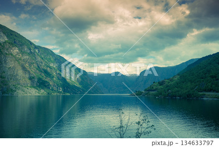 Panoramic view from above of the Aurlandsfjord on a cloudy day. Flam, Norway Panoramic view from above of the Aurlandsfjord on a cloudy day. Flam, Norway 134633797