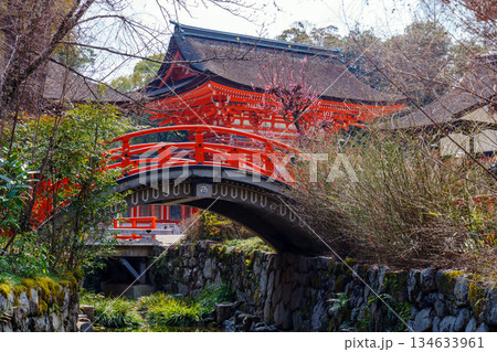 下鴨神社 光琳の梅 134633961