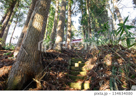 杉並木の参道 舟運安全祈念の羽黒神社 山形県村山市 杉並木の参道 舟運安全祈念の羽黒神社 山形県村山市 134634080