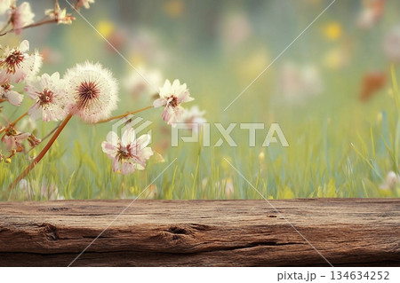 Spring background ready for your display montages Spring background ready for your display montages 134634252