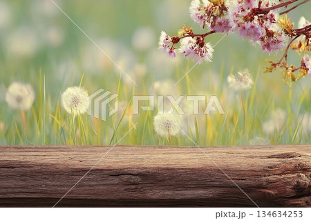Spring background ready for your display montages Spring background ready for your display montages 134634253
