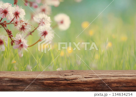 Spring background ready for your display montages Spring background ready for your display montages 134634254