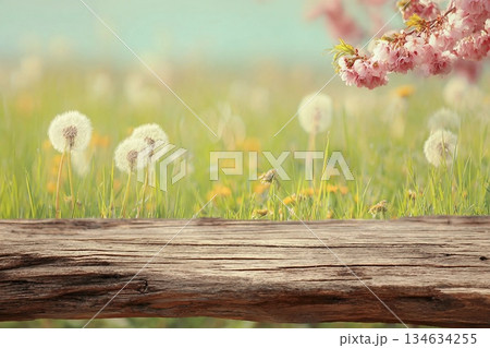 Spring background ready for your display montages Spring background ready for your display montages 134634255