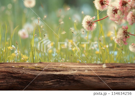 Spring background ready for your display montages Spring background ready for your display montages 134634256