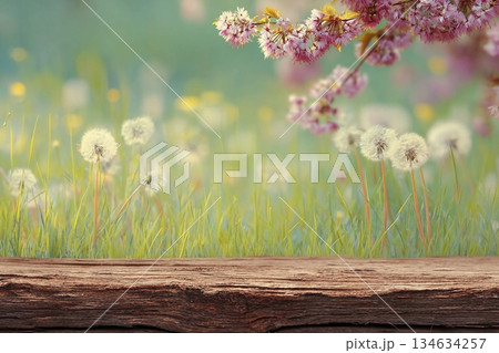 Spring background ready for your display montages Spring background ready for your display montages 134634257