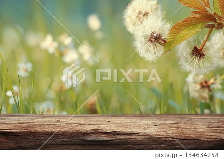 Spring background ready for your display montages Spring background ready for your display montages 134634258