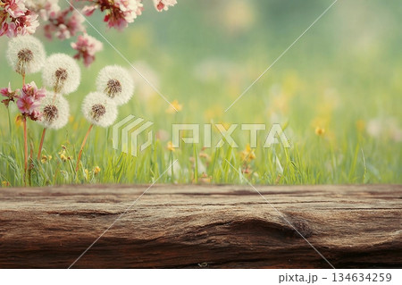 Spring background ready for your display montages 134634259