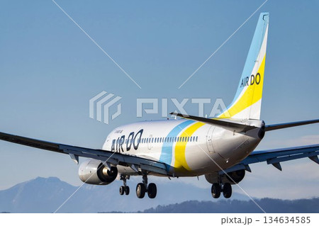 夕暮れの仙台空港　着陸中の飛行機　宮城県名取市 134634585