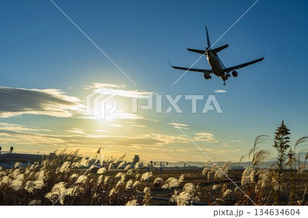 夕暮れの仙台空港　着陸中の飛行機　宮城県名取市 134634604