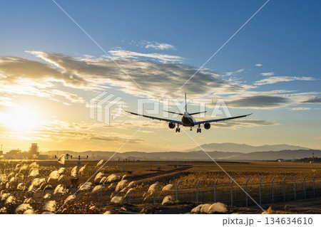 夕暮れの仙台空港　着陸中の飛行機　宮城県名取市 134634610