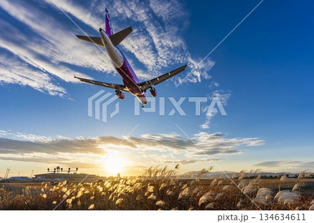 夕暮れの仙台空港　着陸中の飛行機　宮城県名取市 134634611