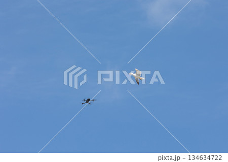 Drone flying near seagull in clear blue sky 134634722