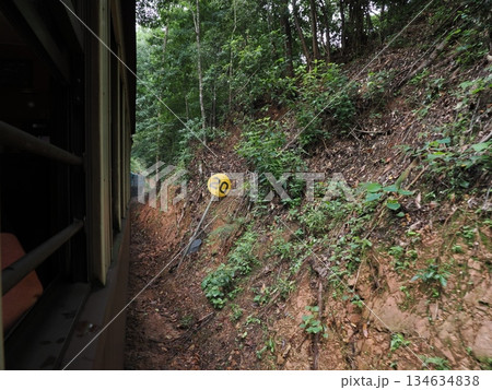標識の先に続く緑 ― キュランダ高原列車の車窓より 134634838