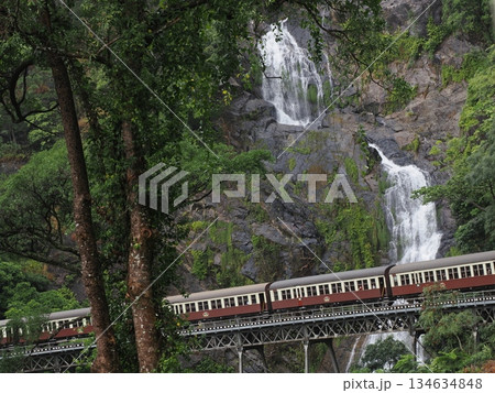 滝の森を渡る赤い列車 ― キュランダ高原の遠景より 滝の森を渡る赤い列車 ― キュランダ高原の遠景より 134634848